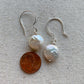 Coin Pearl Earrings Sterling Silver Freshwater Pearl Every Day Jewelry